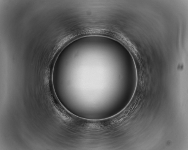 X0000101140107200806270929