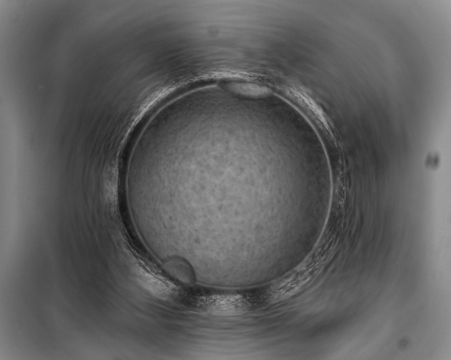 X0000101140108200806270929