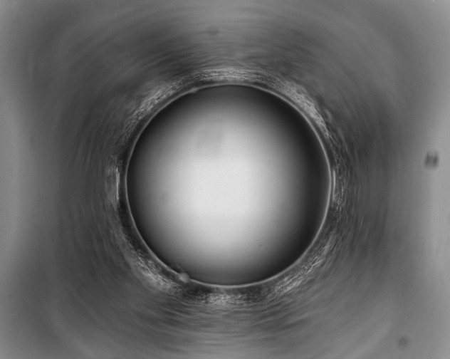 X0000101140109200806270929