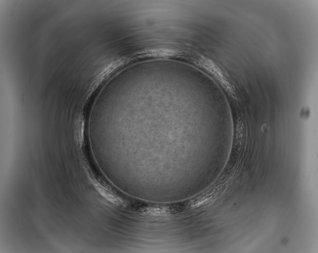 X0000101140110200806270929