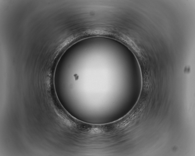 X0000101140111200806270929