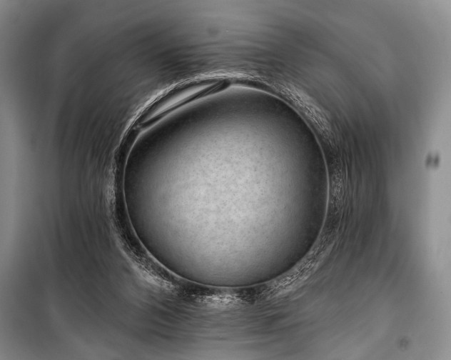 X0000101140112200806270929