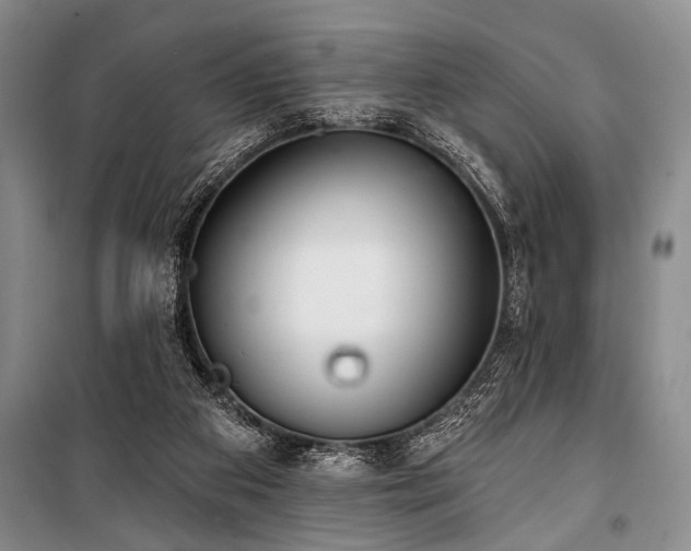 X0000101140113200806270929