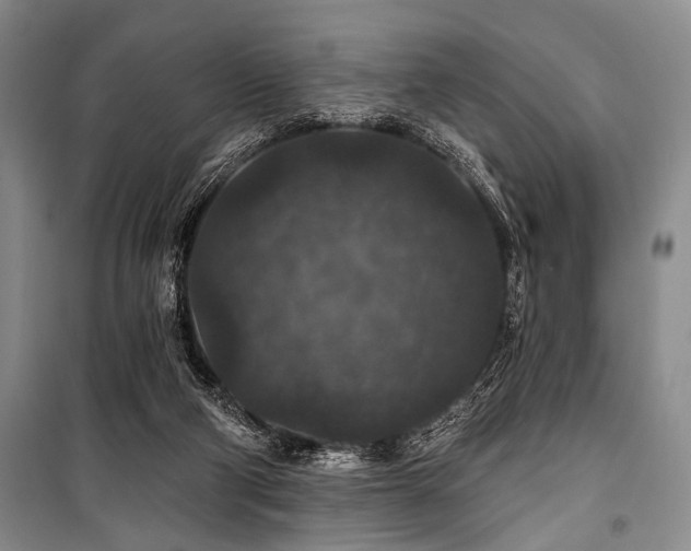 X0000101140114200806270929