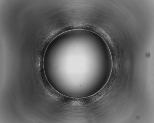 X0000101140115200806270929