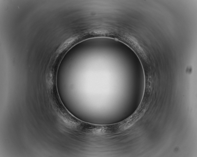 X0000101140116200806270929