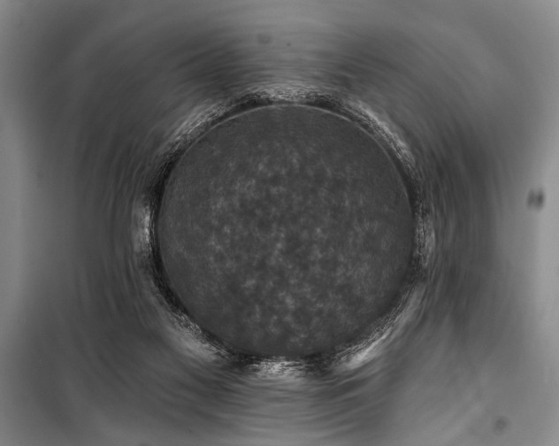 X0000101140117200806270929