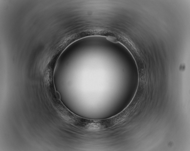 X0000101140119200806270929