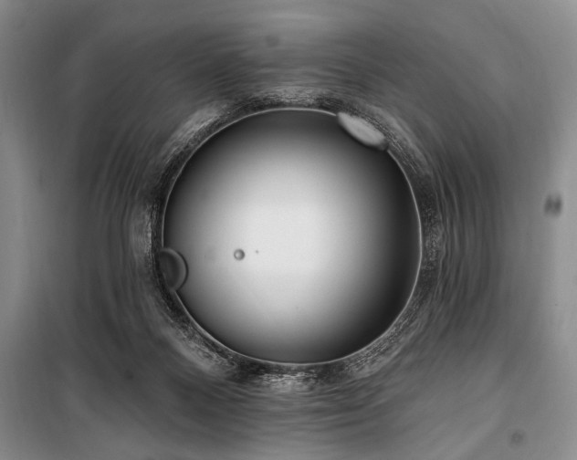 X0000101140120200806270929