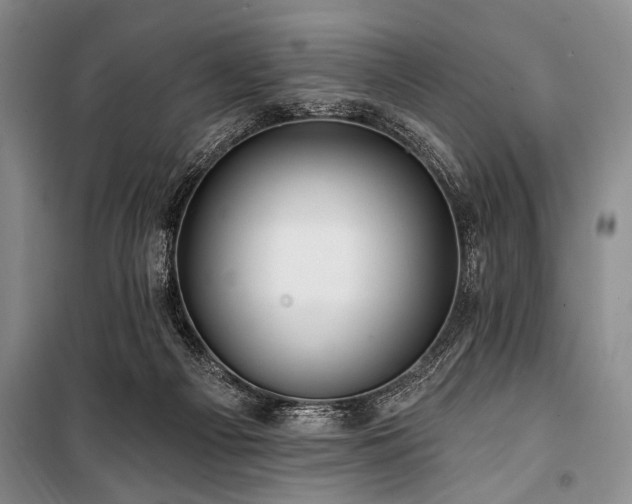 X0000101140121200806270929