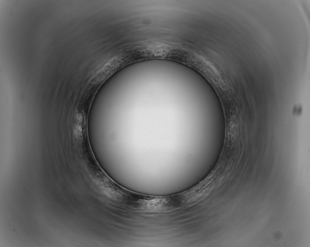 X0000101140122200806270929