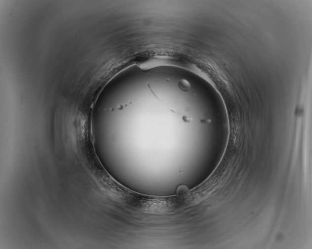 X0000101140123200806270929