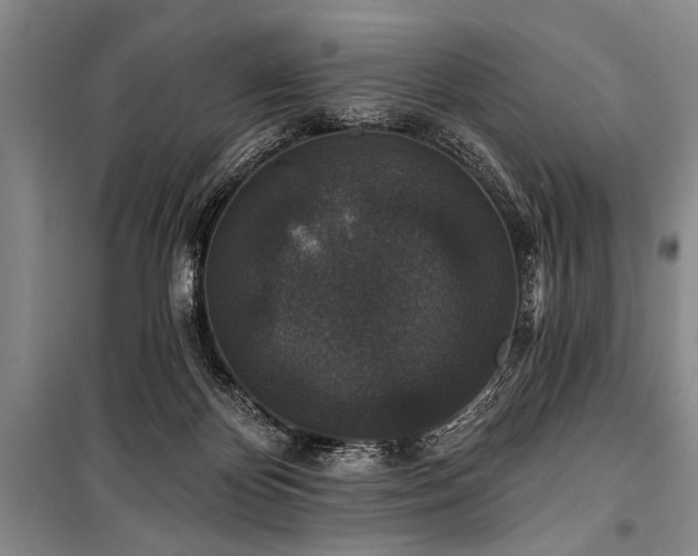 X0000101140124200806270929