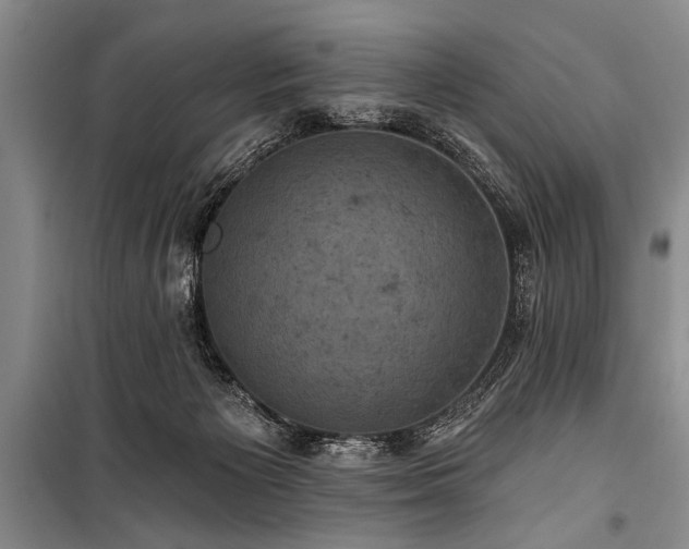 X0000101140125200806270929