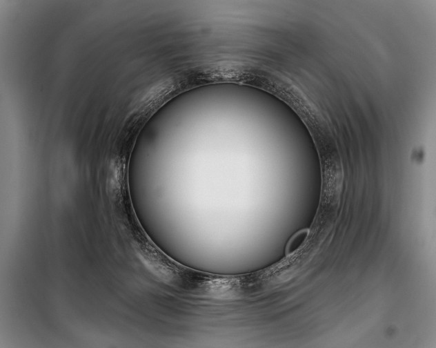 X0000101140126200806270929