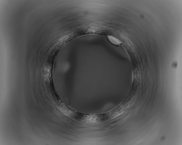 X0000101140127200806270929