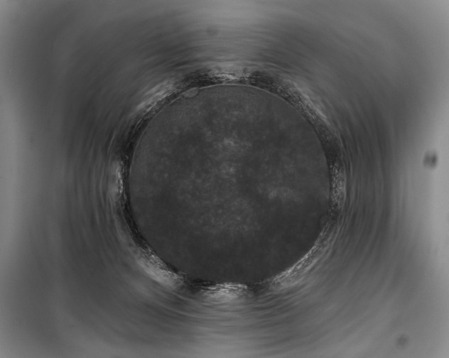 X0000101140128200806270929