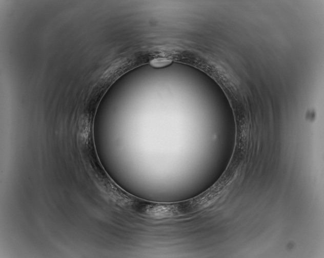 X0000101140129200806270929