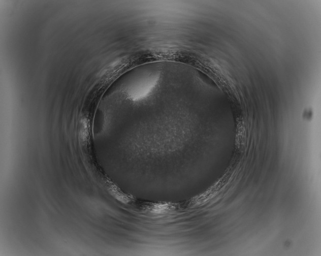 X0000101140130200806270929