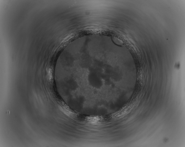 X0000101140131200806270929