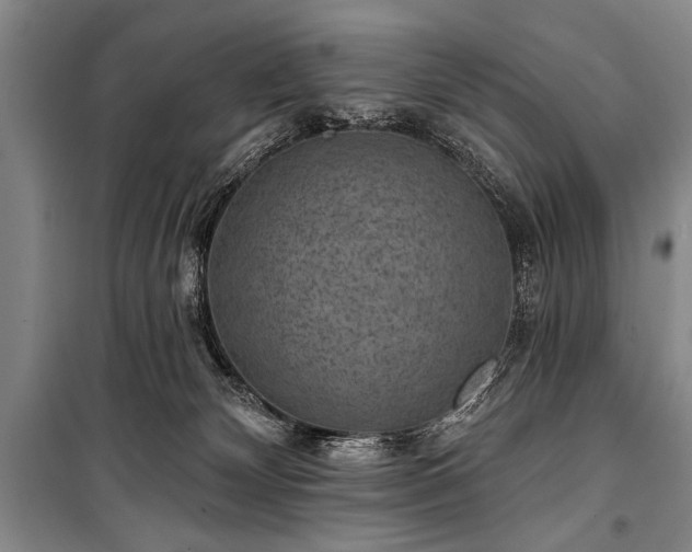 X0000101140132200806270929