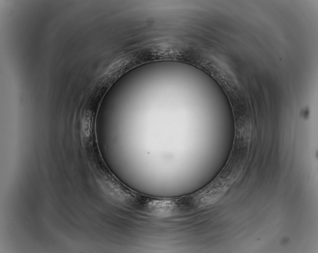 X0000101140133200806270929