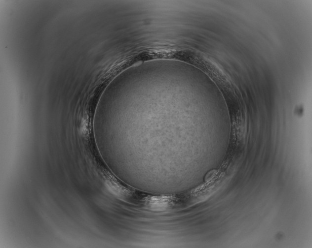 X0000101140134200806270929