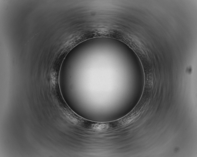 X0000101140135200806270929