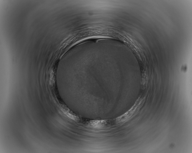 X0000101140136200806270929