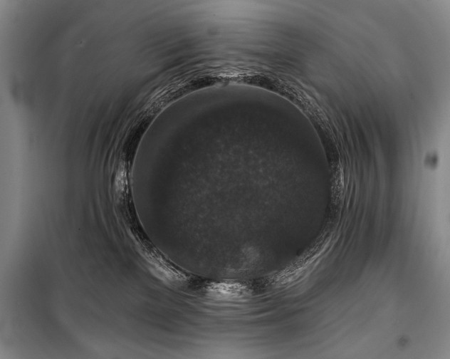 X0000101140137200806270928