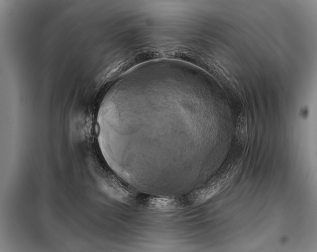 X0000101140139200806270928