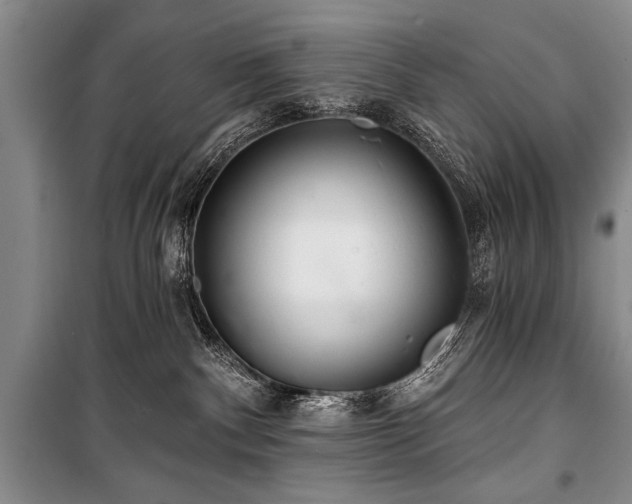 X0000101140140200806270928