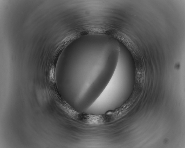 X0000101140143200806270928