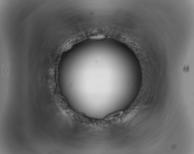 X0000101140144200806270928