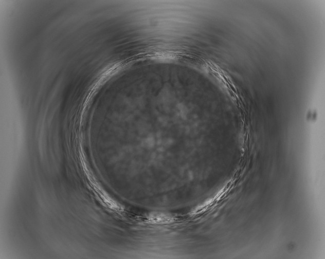 X0000101140145200806270928