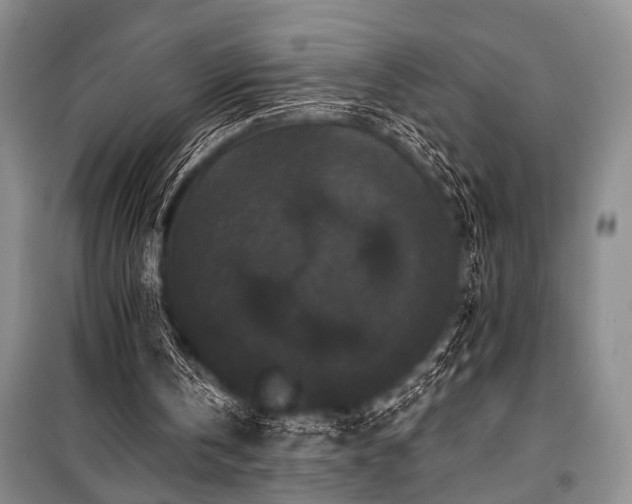 X0000101140146200806270928