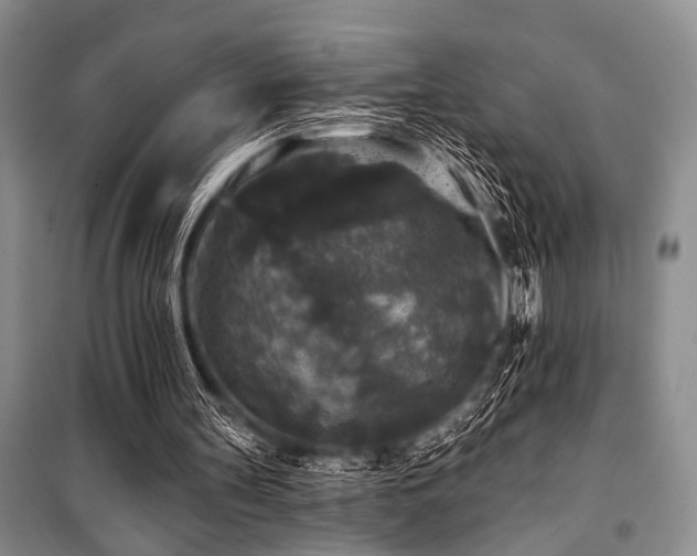 X0000101140147200806270928