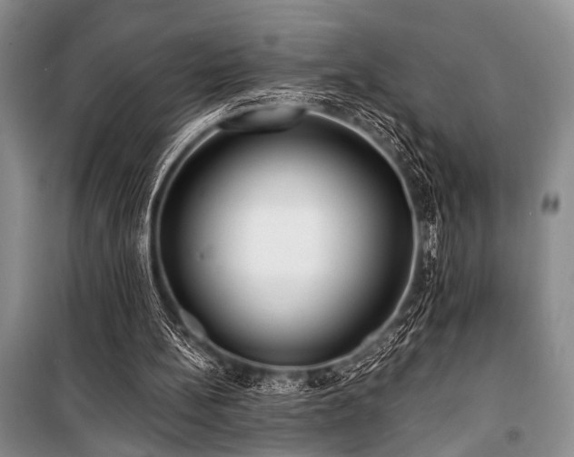 X0000101140148200806270928