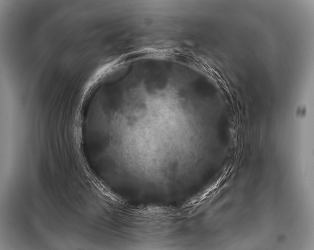 X0000101140149200806270928