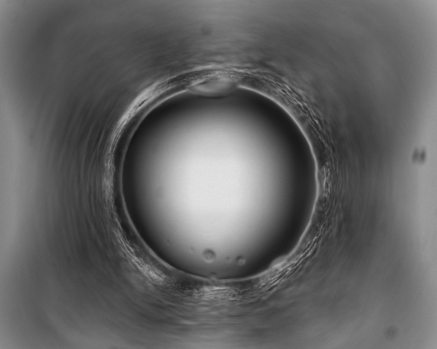 X0000101140150200806270928