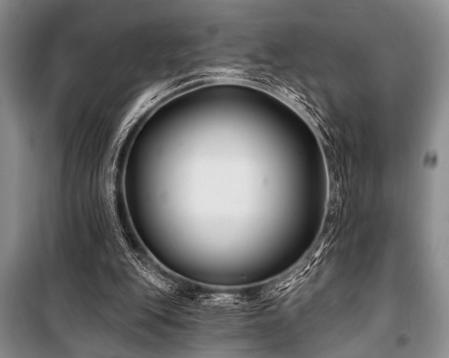 X0000101140151200806270928