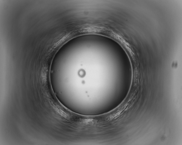 X0000101140153200806270928