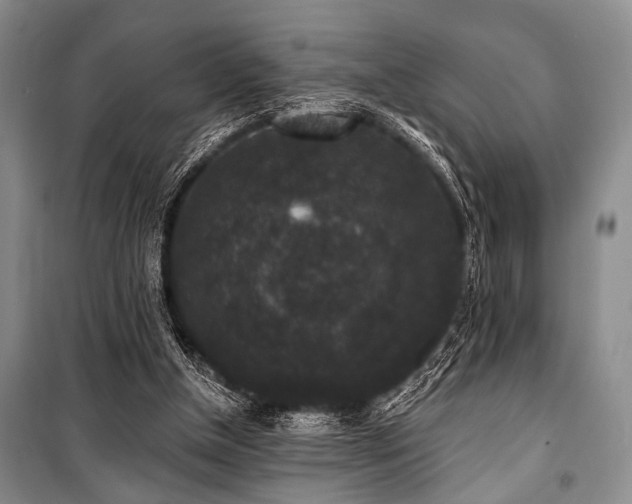 X0000101140154200806270928