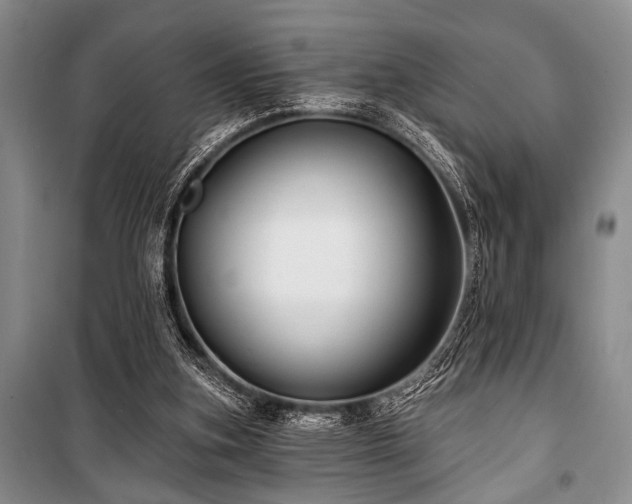 X0000101140155200806270928