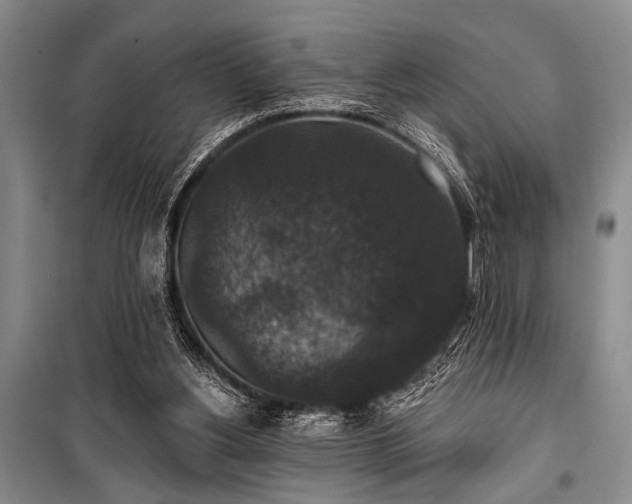 X0000101140156200806270928