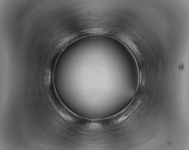 X0000101140157200806270928