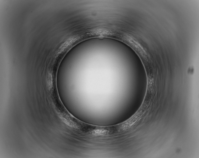 X0000101140158200806270928