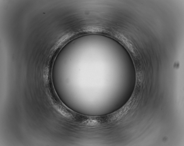 X0000101140159200806270928