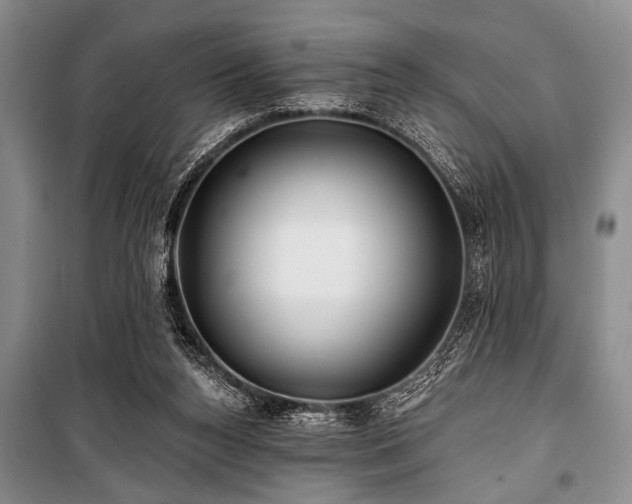 X0000101140160200806270928