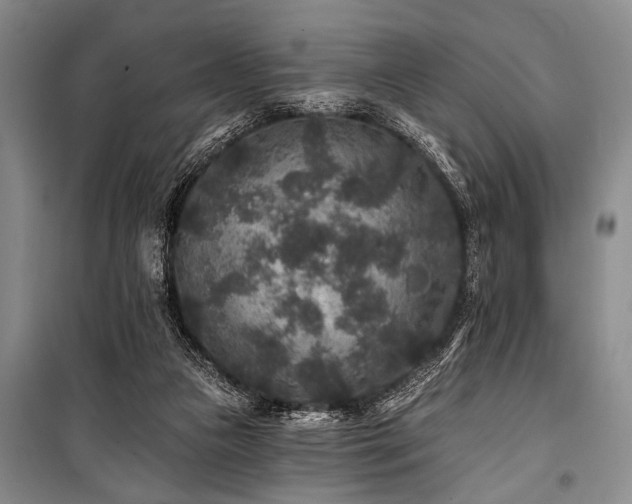 X0000101140161200806270928